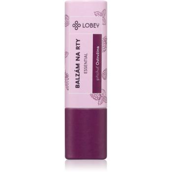 Lobey Skin Care Lip Balm balzam na pery odtieň Ostružina 5 g