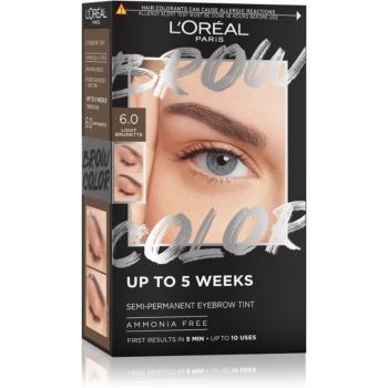 L’Oréal Paris Brow Color farba na obočie odtieň 6.0 Light Brunette 1 ks