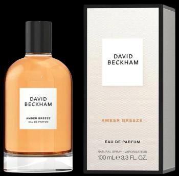 DAVID BECKHAM Amber Breeze parfémová voda pro muže 100 ml