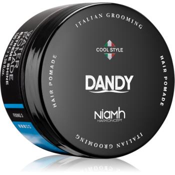 DANDY Water Pomade Extreme Shine pomáda na vlasy 100 ml