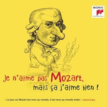 V/A - Je N'aime Pas Mozart, Mais Ça J'aime Bien !, CD