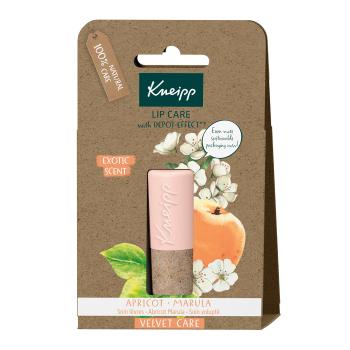 Kneipp Balzam na pery Marhuľa (Lip Care ) 4,7 g