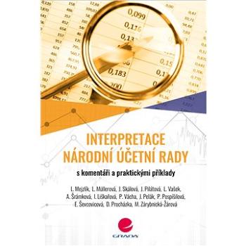 Interpretace Národní účetní rady (978-80-271-2216-5)