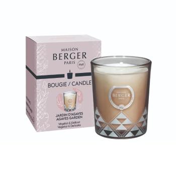 Maison Berger Paris Vonná sviečka Joy Agávová záhrada Garden of Agaves 180 g