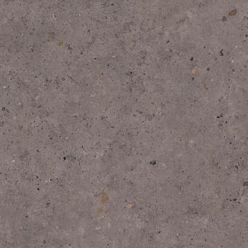 Dlažba Pastorelli Biophilic dark grey 80x80 cm mat P009420