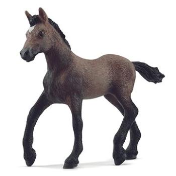 Schleich Žriebä plemena peruánsky paso (4059433668956)