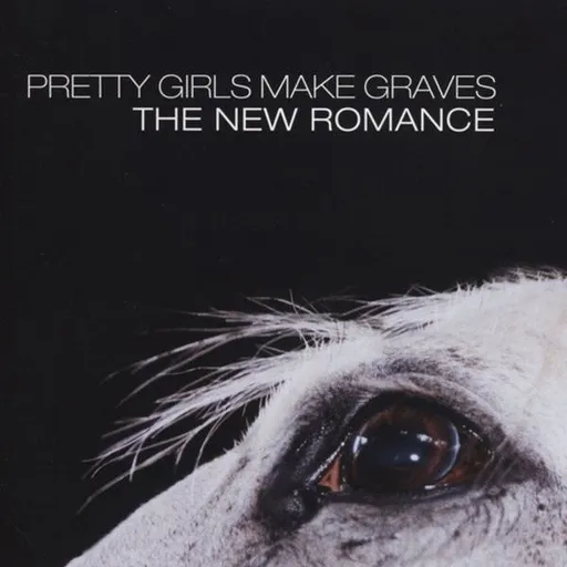 The New Romance - Pretty Girls Make Graves LP