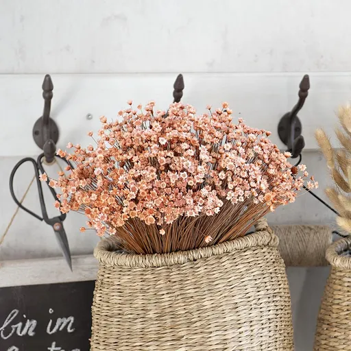 Weltbild Sušené květiny Glixia, světle růžové