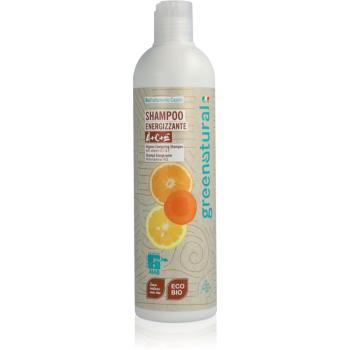 Greenatural Shampoo with Vitamins A, C, E jemný šampón s vitamínmi A, C, E 400 ml