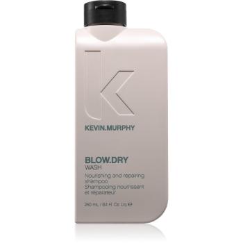 Kevin Murphy Blow.Dry Wash vyživujúci šampón pre lámavé a namáhané vlasy 250 ml