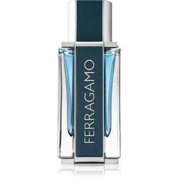 Ferragamo Ferragamo Intense Leather parfumovaná voda pre mužov 50 ml