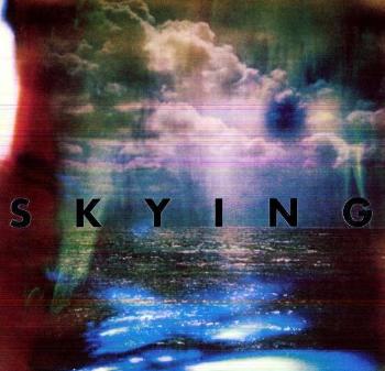 HORRORS - SKYING, Vinyl