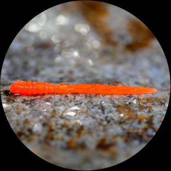 Redbass gumová nástraha micro tail signal orange uv color - s 48 mm