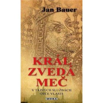 Král zvedá meč (978-80-243-4650-2)