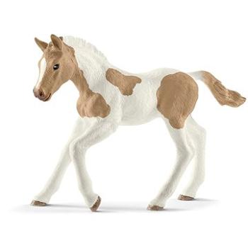 Schleich 13886 - Žriebä plemena Paint Horse (4059433025650)