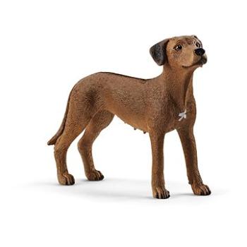 Schleich 13895 Zvieratko – pes ridgeback rodézsky (4059433007229)