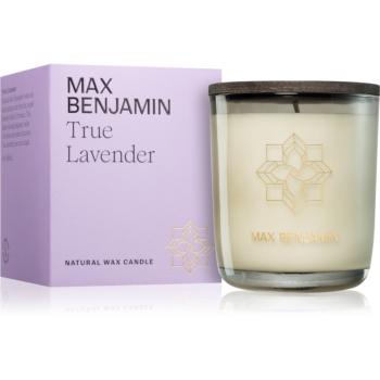 MAX Benjamin True Lavender vonná sviečka 210 g