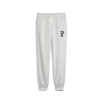 Puma  PUMA SQUAD SWEATPANTS FL CL B  Tepláky/Vrchné oblečenie Šedá