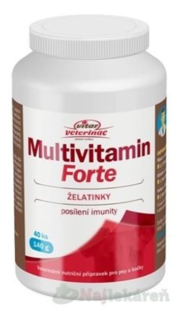 VITAR Veterinae Multivitamín Forte pre psy a mačky 40ks