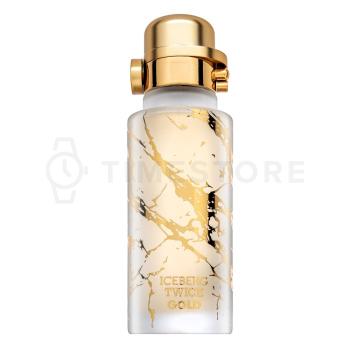 Iceberg Twice Gold toaletná voda pre mužov 125 ml - 30 dní na vrátenie tovaru, Garancia originality