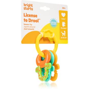 Bright Starts Teether & Rattle hrkálka s hryzadielkom 3m+ 1 ks