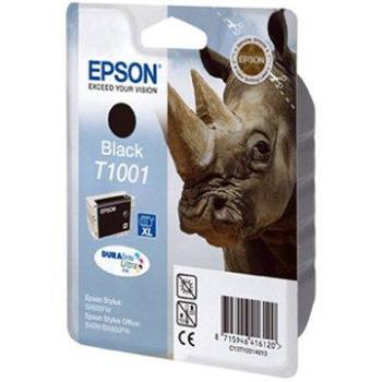 Epson T1001 čierna (C13T10014010)