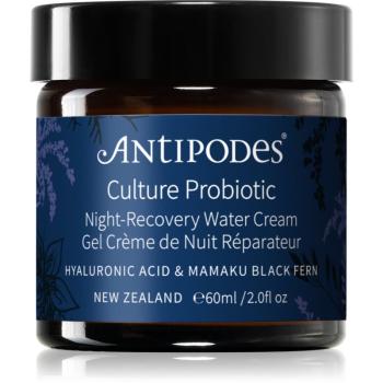 Antipodes Culture Probiotic Night Recovery Water Cream intenzívny nočný krém pre revitalizáciu pleti s probiotikami 60 ml