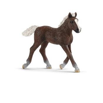 Schleich 13899 Žriebä Schwarzwaldské (4059433039589)