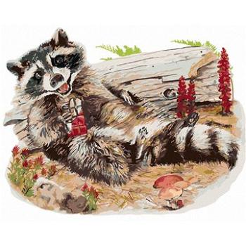 Maľovanie podľa čísel – Mýval s čokoládou (Holly Simental) (HRAbz33123nad)