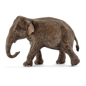 Schleich 14753 Ázijský slon samica (4005086147539)