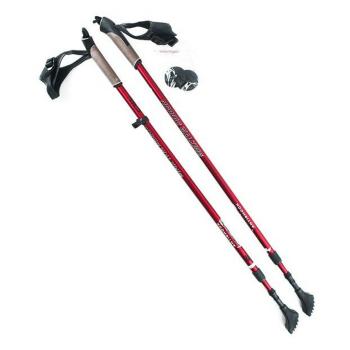 NILS Extreme NW 802 nordic walking palice