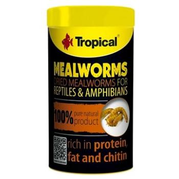 Tropical Meal worms 100 ml 13 g (6911183)