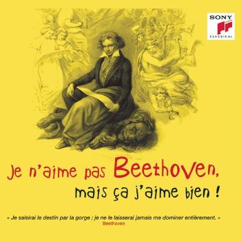 V/A - Je N'aime Pas Beethoven, Mais Ça J'aime Bien !, CD