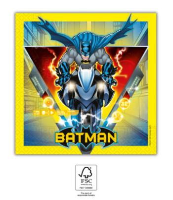 Procos Ubrousky - Batman na motorce 33 x 33 cm
