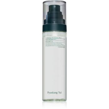 Pyunkang Yul Calming Moisture Mist intenzíven nyugtató permet az érzékeny száraz bőrre 100 ml