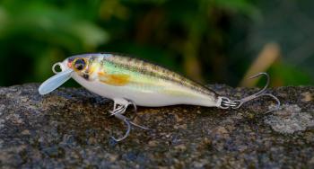3stan wobler belly minnow bm40 h-mmn 4 cm 2,8 g