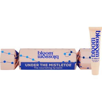 Bloom & Blossom Under the Mistletoes set cadou