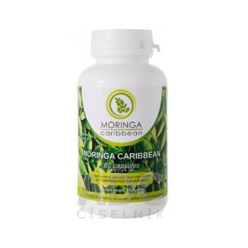 MORINGA Moringa Caribbean (standard)