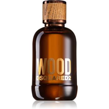 Dsquared2 Wood Pour Homme toaletná voda pre mužov 100 ml