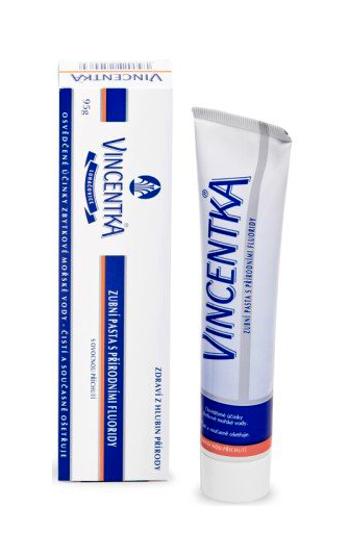VINCENTKA ZUBNÁ PASTA 1x95 g 95 mg