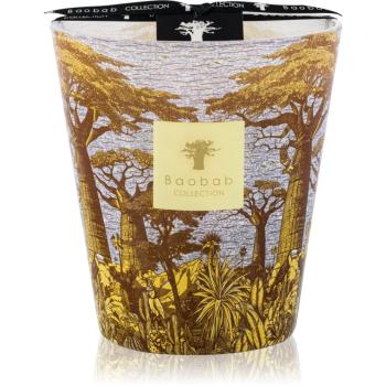 Baobab Collection Sacred Trees Cocody vonná sviečka 16 cm
