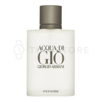 Armani (Giorgio Armani) Acqua di Gio Pour Homme toaletná voda pre mužov 100 ml   - 30 dní na vrátenie tovaru, Garancia originality
