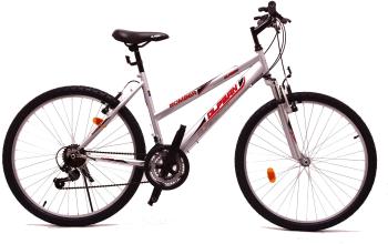 Mountain bike OLPRAN Bomber SUS 26" L szürke