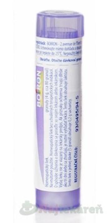 MANGANUM ACETICUM GRA HOM CH30, proti dermatologickým indikáciám, 1x4 g