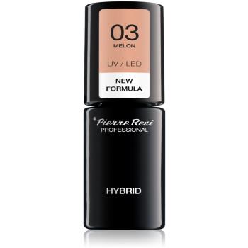 Pierre René Nails Hybrid gélový lak na nechty s použitím UV/LED lampy odtieň No. 3 Melon 6 ml