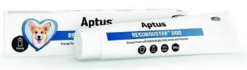 Aptus RECOBOOSTER DOG pasta na doplnenie energie pre psy 100g