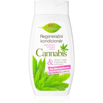 Bione Cosmetics Cannabis regeneračný kondicionér 260 ml