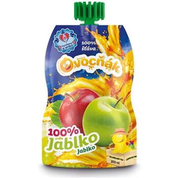 Ovocňák mušt jablko 100 % 200 ml (8592809000050)