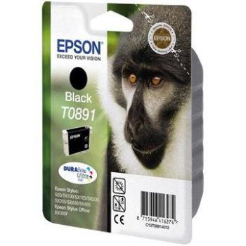 Epson T0891 čierna (C13T08914011)