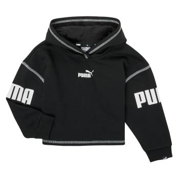 Puma  PUMA POWER HOODIE  Mikiny Čierna